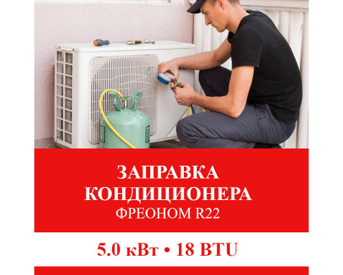 Заправка кондиционера Shivaki фреоном R22 до 5.0 кВт (18 BTU)